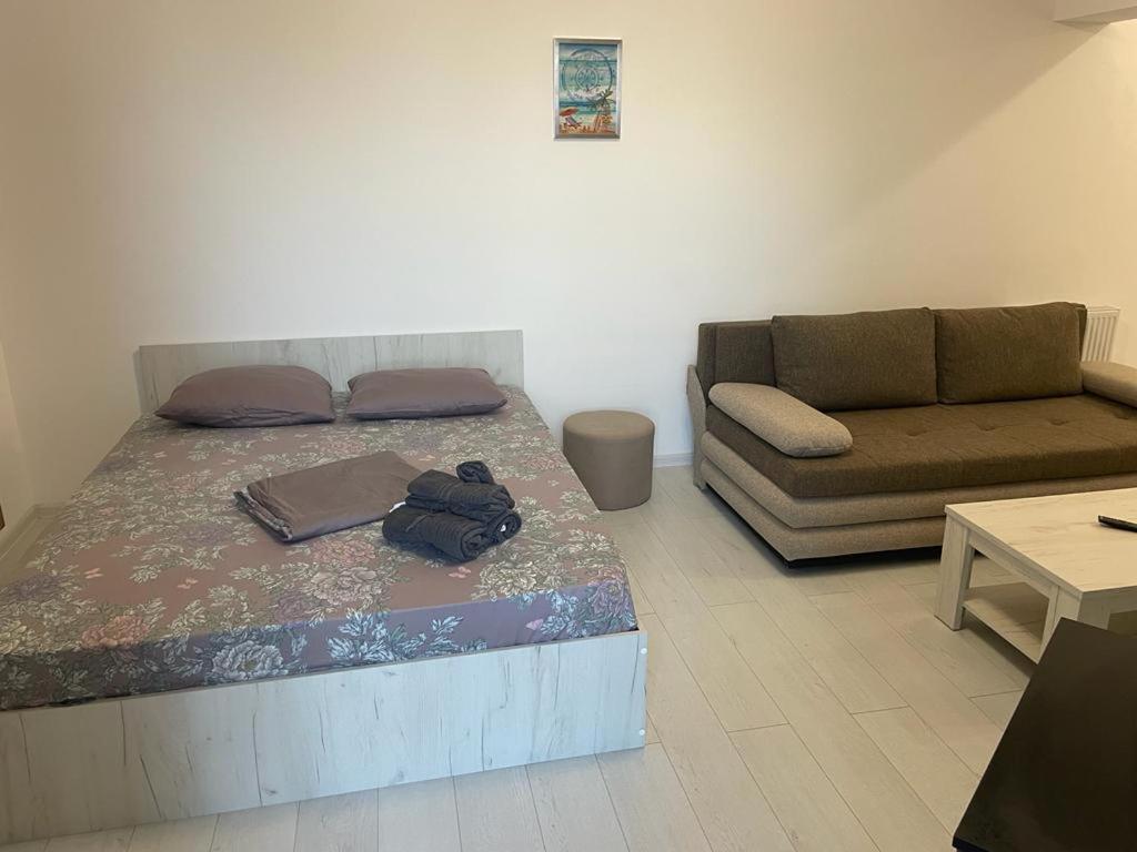 Ini Solid House Butoaie Mamaia